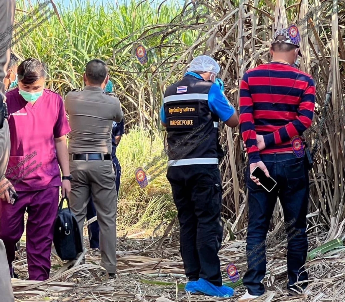 ได้เบาะแสคดีฆ่าสาวใหญ่ทิ้งป่าอ้อย ลูกสาวคาดเป็นฝีมือหนุ่มที่มาติดพัน