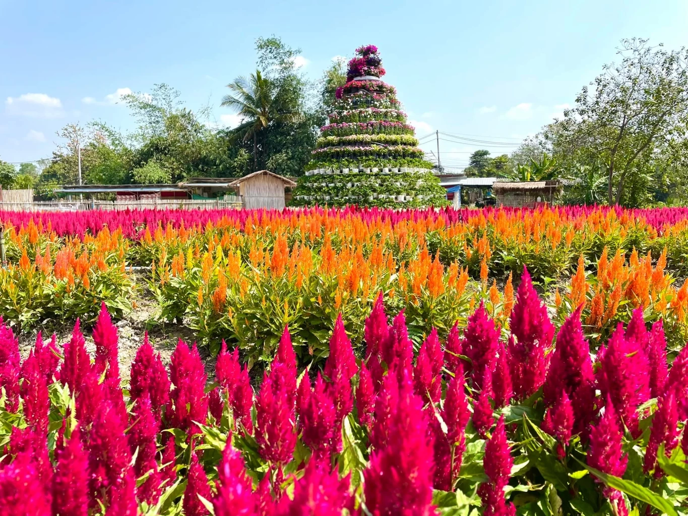 ไร่กลิ่นเกสร