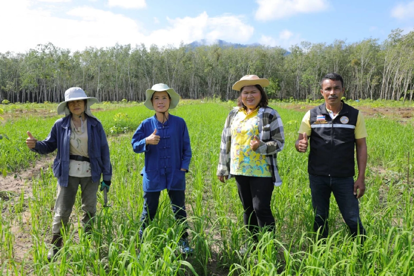 ส่งเสริมเกษตรกรปลูกข้าวเหนียวดำหมอ 37 ลดต้นทุนผลิต