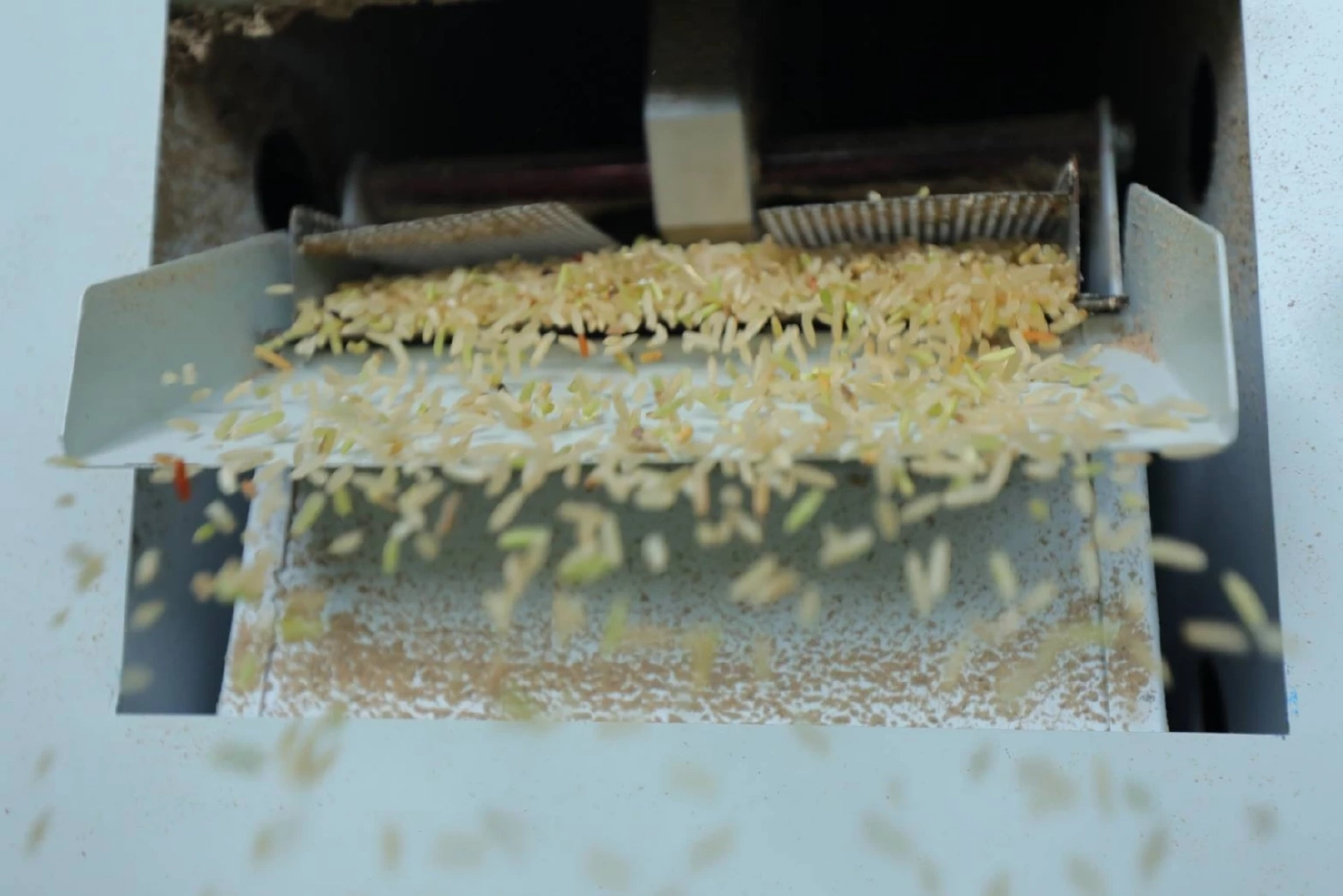 “วาริน สังข์ปล้อง” ปราชญ์นาข้าวคุณภาพดี จากเกษตรกรสู่ผู้แปรรูปผลผลิตข้าว