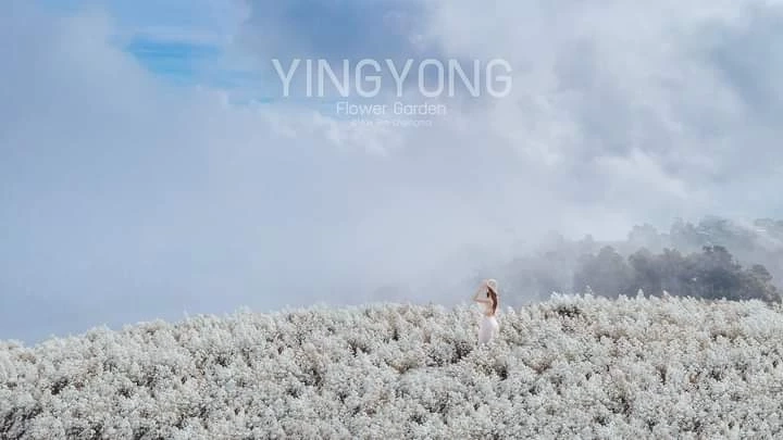 ยิ่งยงสวนดอกไม้