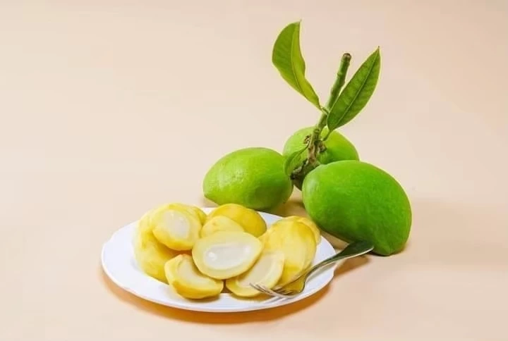 “มะม่วงเบาสงขลา”  ขึ้นทะเบียน GI คุ้มครองสินค้าท้องถิ่น