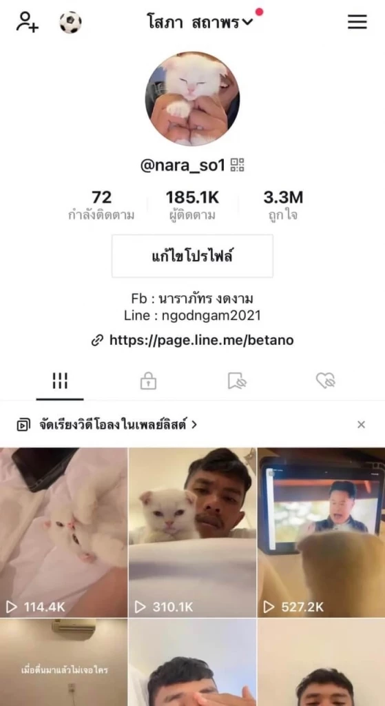ทาสแมวสุดเศร้า แฟนคลับสุดช็อก หลังทราบข่าว "บักโส" กลับดาวแมวแล้ว 