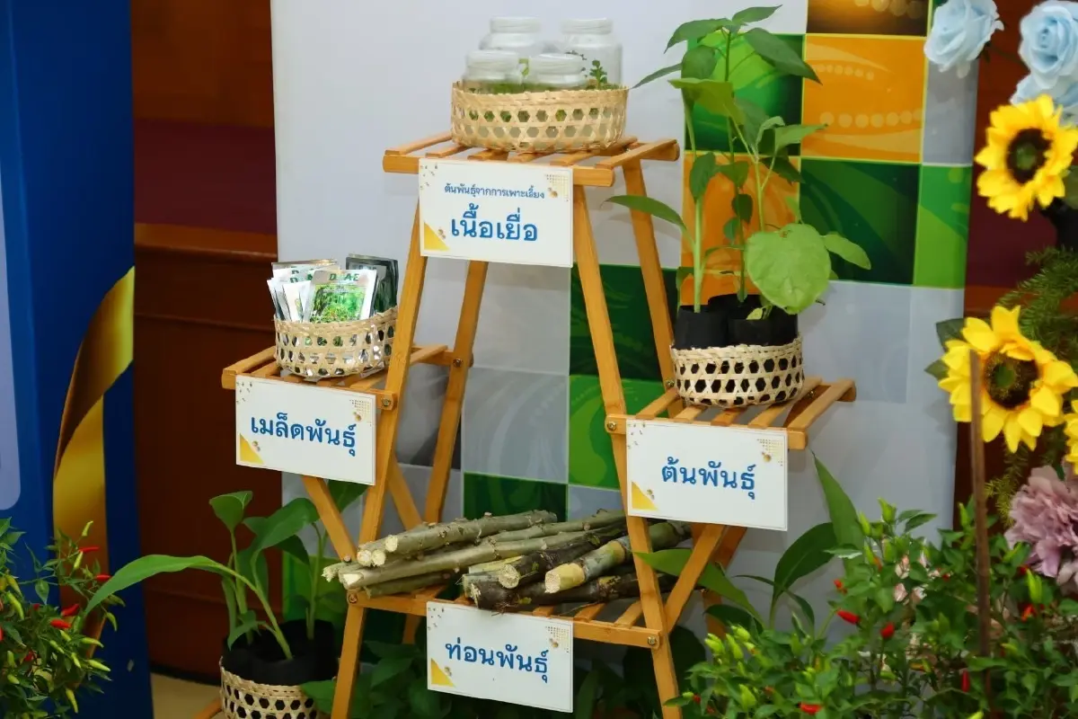 กรมส่งเสริมการเกษตรยกทัพจัดเต็ม ขนขบวนความสุขส่งมอบเป็นของขวัญให้เกษตรกร  กิน เที่ยว ทั่วไทย สุขใจด้วยกัน ตลอดปี 2566