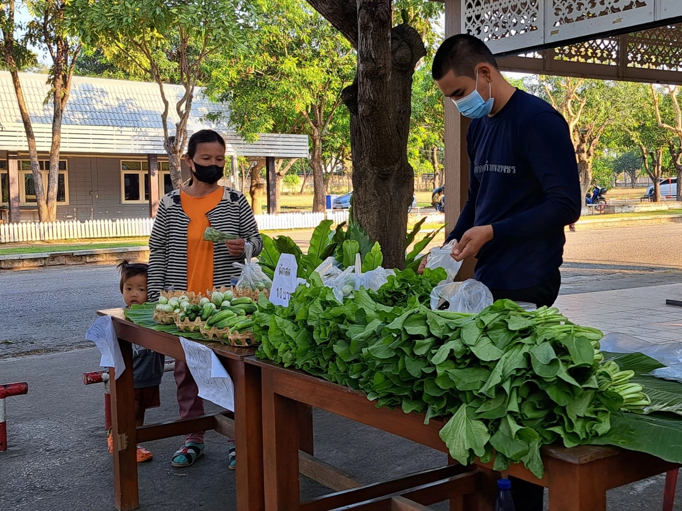 "เรือนจำกำแพงเพชร" ชวน อุดหนุนผักปลอดสาร เพื่อสวัสดิการผู้ต้องขัง