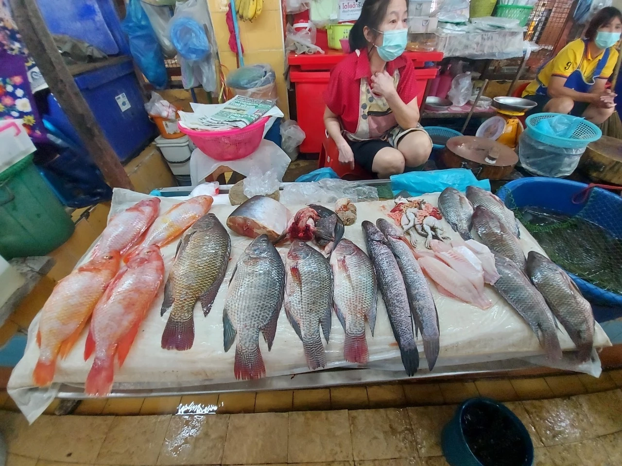 3 แม่ลูก ซื้อเนื้อปลาแล่ทำลวกจิ้ม หมดสติส่ง รพ. ตรวจเจอสารปลาปักเป้า