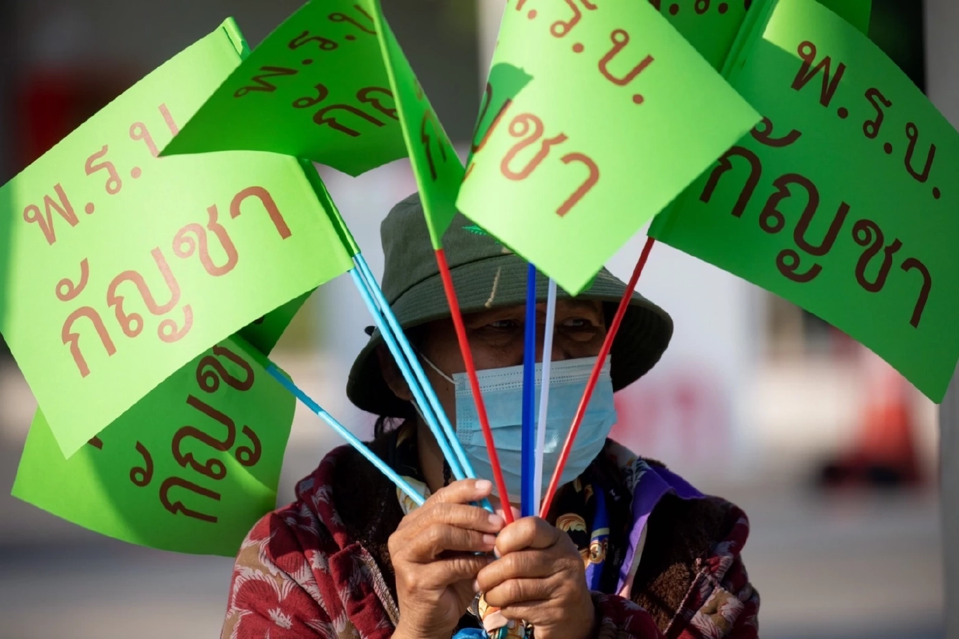 "สธ."ออกตัวขอบคุณ"ท่านผู้แทนฯ" รับพิจารณา"ร่างกม.กัญชา"