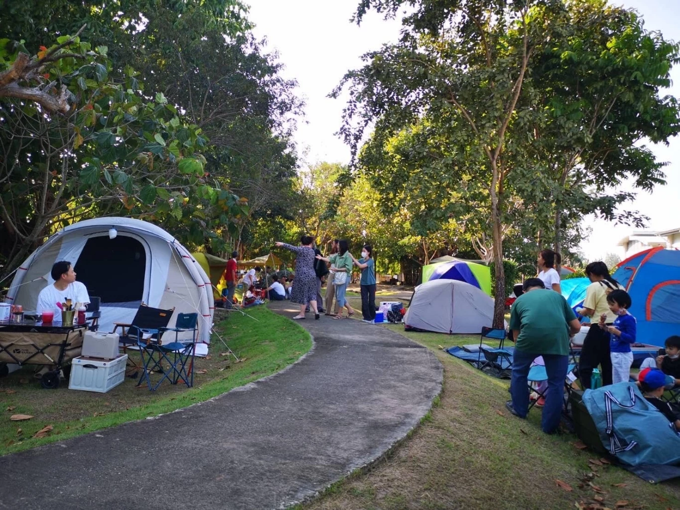 ฝนดาวตกเจมินิดส์ ชมประมวลภาพสวยๆ "ปรากฏการณ์ฝนดาวตก" เมื่อคืนที่ผ่านมา 
