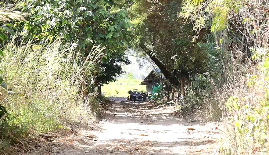 ระทึก หนูน้อย 2 ขวบ เดินตามหมาหลงป่า ชาวบ้านระดมหาวุ่น เชื่อถูกผีบังตา