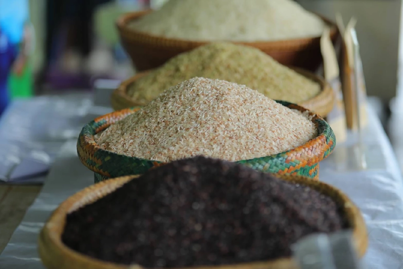 “วาริน สังข์ปล้อง” ปราชญ์นาข้าวคุณภาพดี จากเกษตรกรสู่ผู้แปรรูปผลผลิตข้าว