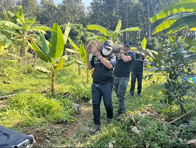 ตำรวจ ปทส. จับนายทุนบุกรุกป่า ขายต่อให้ต่างชาติราคาไร่ละ 1 ล้านบาท
