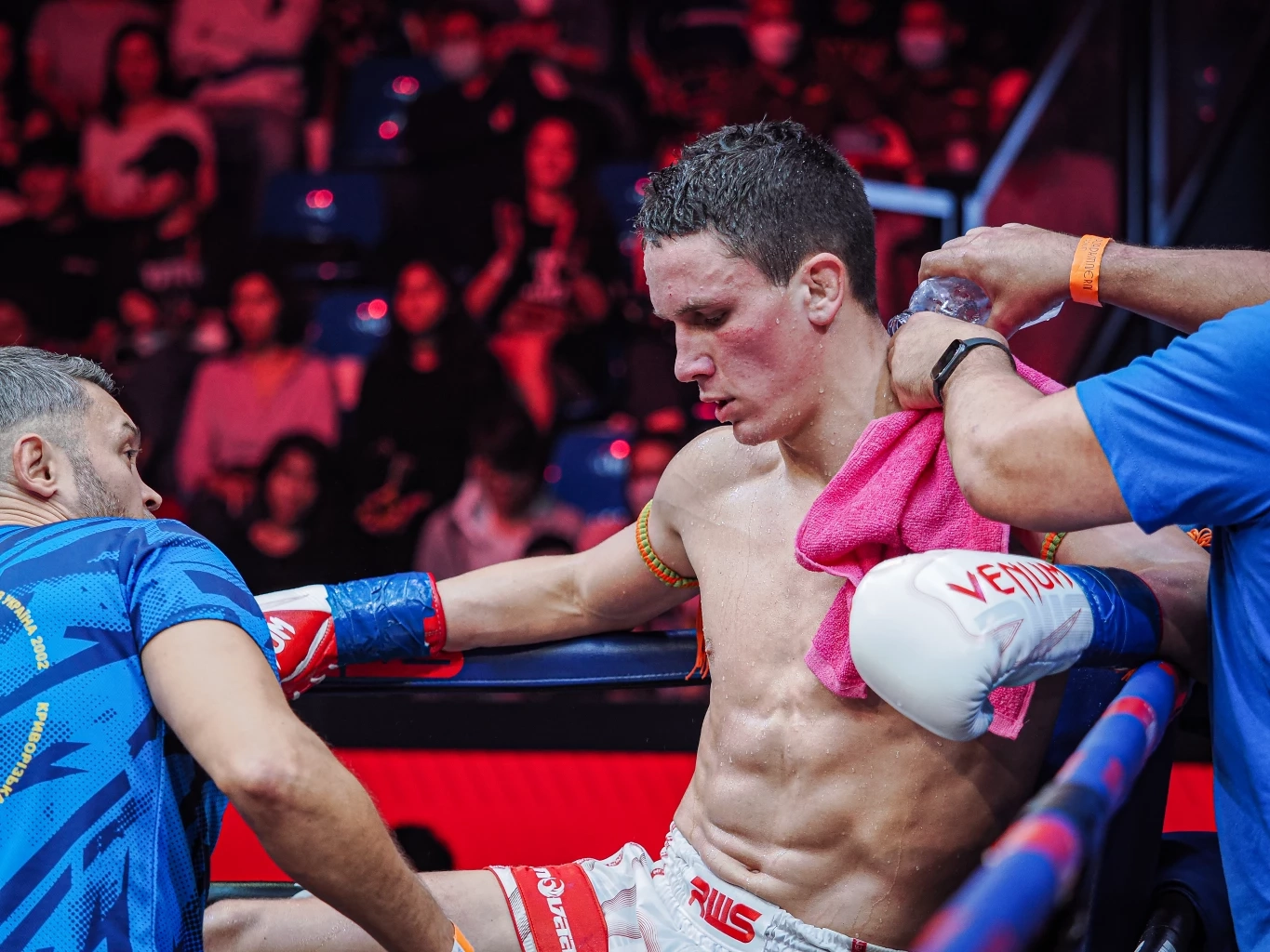 มวยคู่หยุดโลก “บัวขาว” ปะทะ “เยฟิเมนโก้” ซัดเต็มที่ครบ 3 ยก กินกันไม่ลง