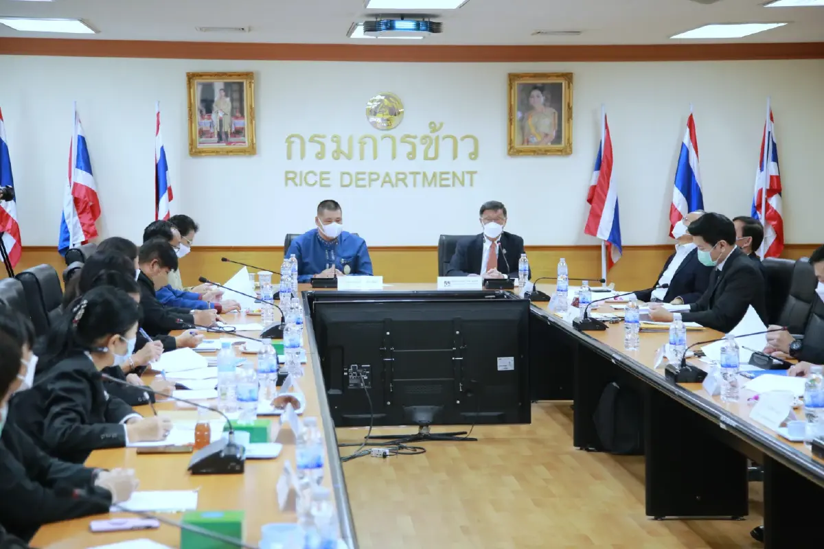 กรมข้าว "ทุ่มงบ 1.2 พันล้าน" ผลิตเมล็ดพันธุ์ข้าวคุณภาพ กระจายสู่มือชาวนา