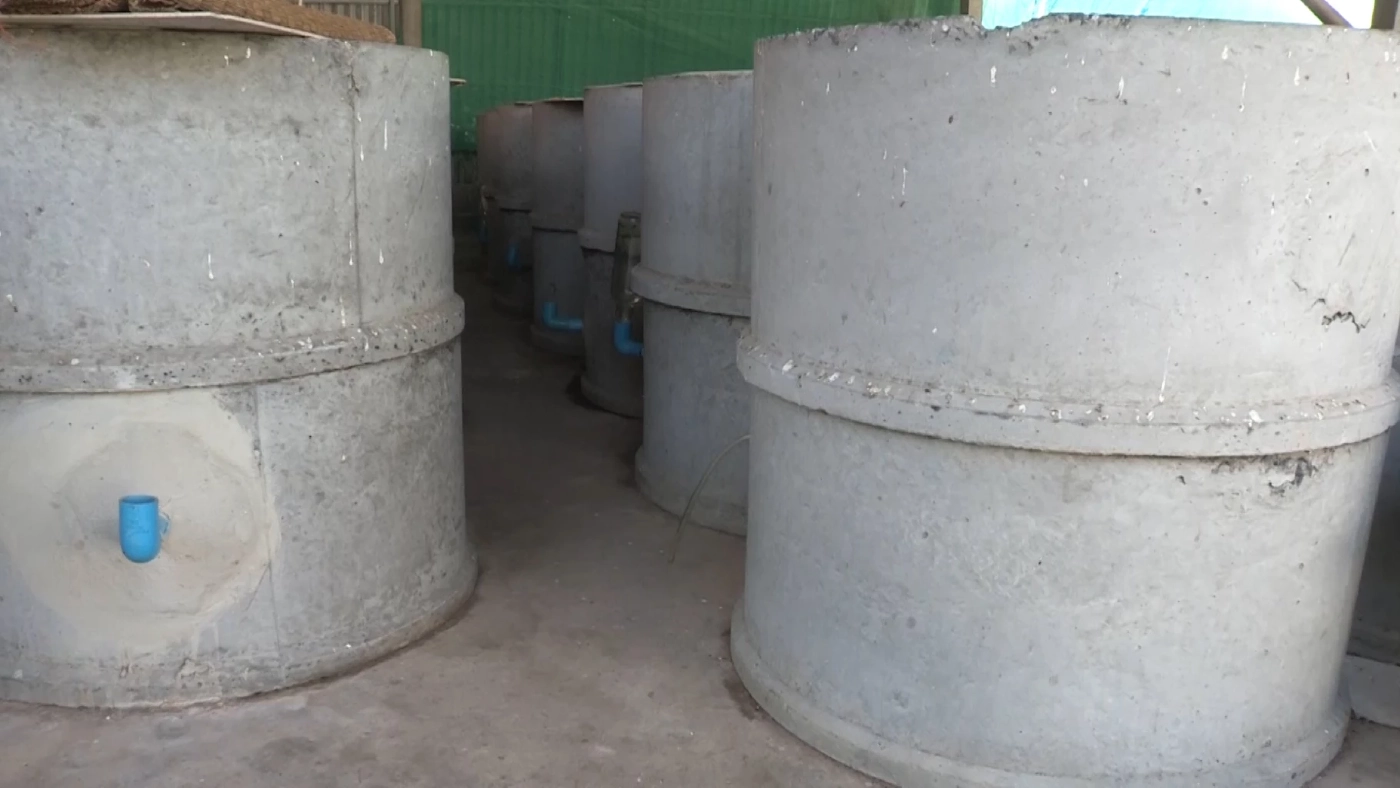 สาวโคราชผันตัวเลี้ยง “หนูนา” ขาย ลูกค้าถูกใจออเดอร์พุ่งรับปีใหม่