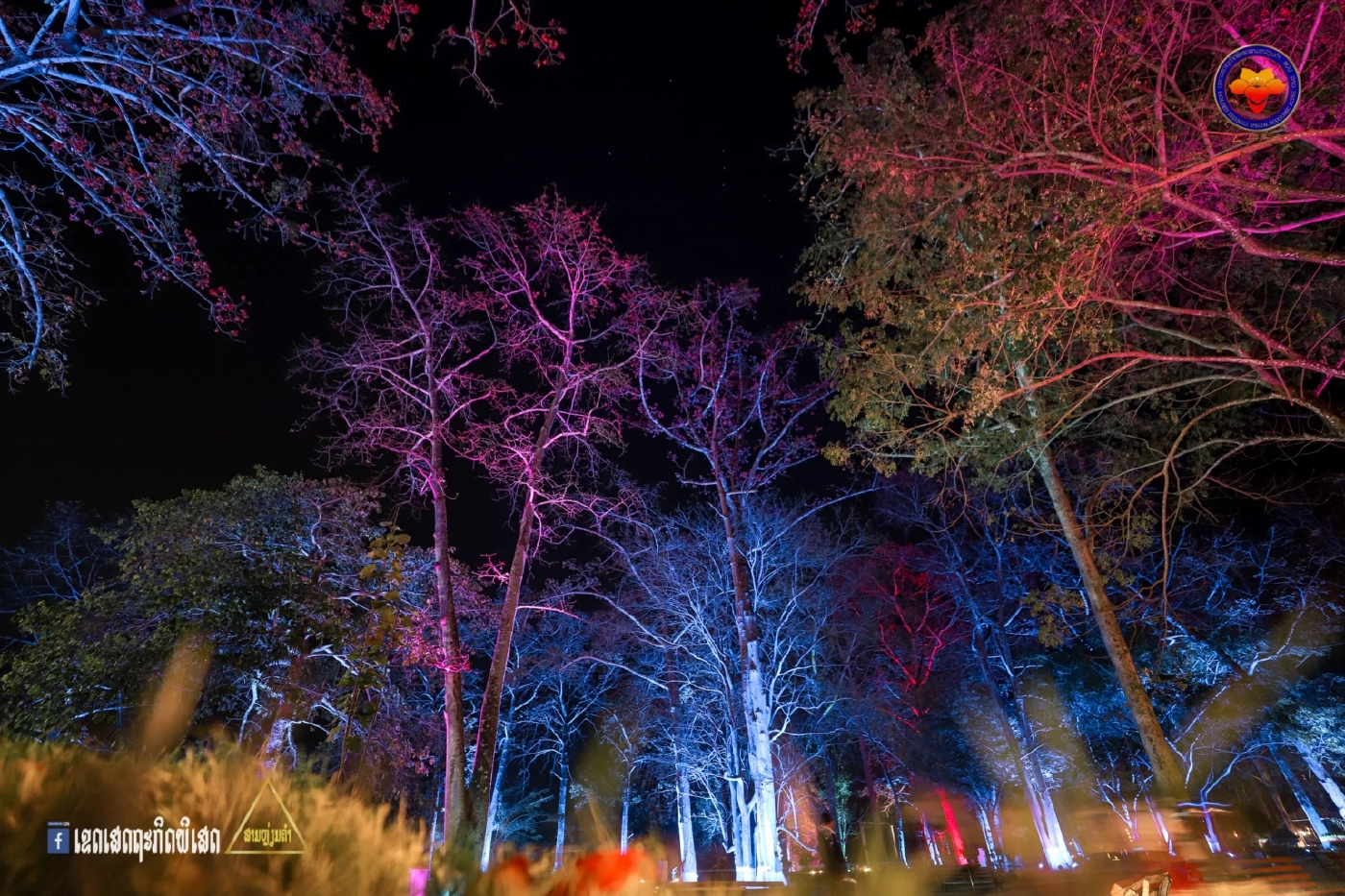 นับถอยหลัง "เทศกาลดอกงิ้วบาน ครั้งที่ 20"  ยิ่งใหญ่กว่าทุกปีที่ผ่านมา