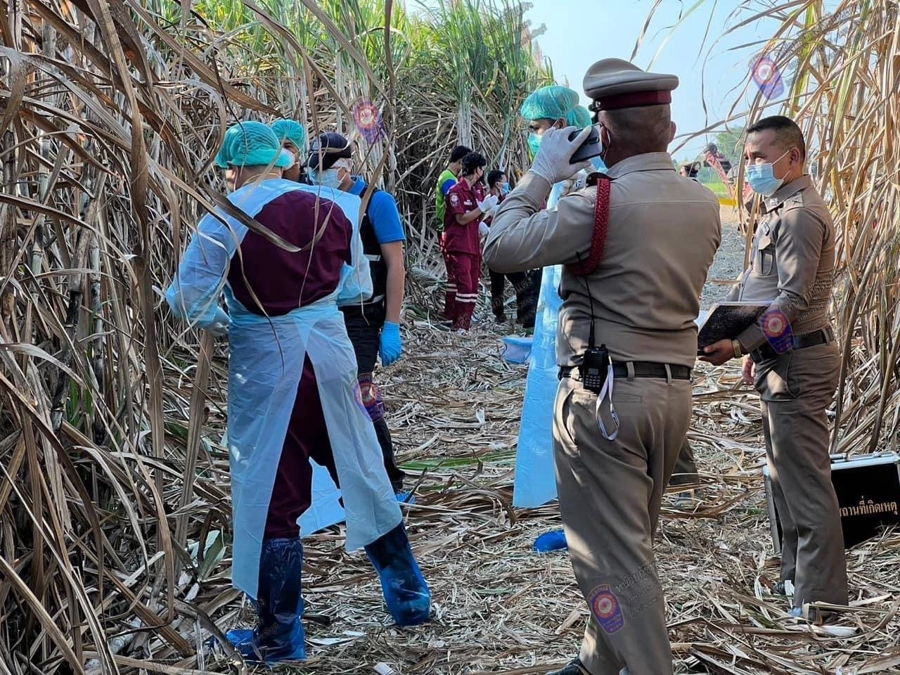 ได้เบาะแสคดีฆ่าสาวใหญ่ทิ้งป่าอ้อย ลูกสาวคาดเป็นฝีมือหนุ่มที่มาติดพัน