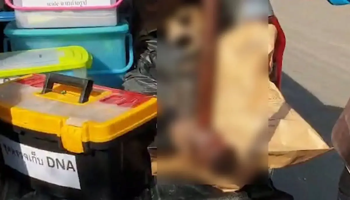 เมียระแวงผัวปันใจ คว้าค้อนทุบหัวดับคาที่นอน