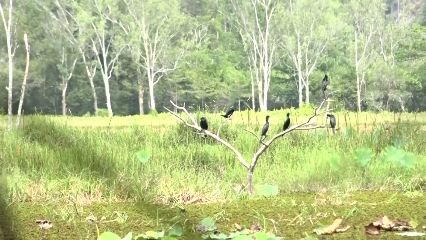 ชวนส่องนกอพยพหนีหนาวมาจากซีกโลกเหนือ ในเขตห้ามล่าสัตว์ป่าฯ