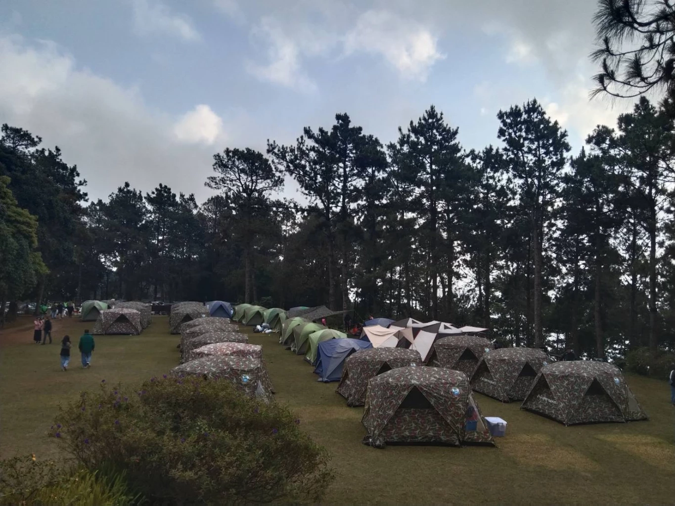 เชียงใหม่คึกคัก! นักท่องเที่ยวทะลักขึ้นดอย ช่วงเทศกาลปีใหม่ 2566