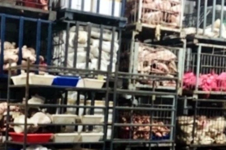 “กรมปศุสัตว์” ประกาศสงคราม"หมูเถื่อน" ดักจับทุกทิศทาง