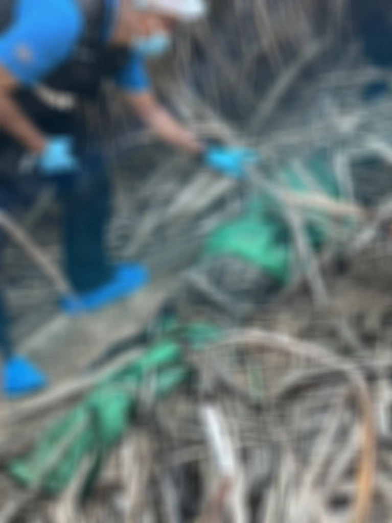 สภาพวันที่พบศพวานนี้ (14 ธ.ค.)