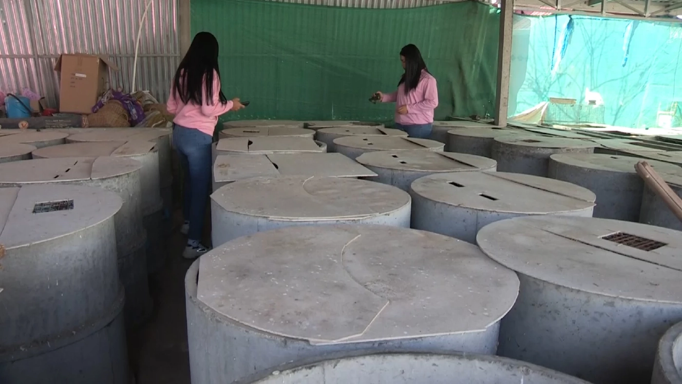 สาวโคราชผันตัวเลี้ยง “หนูนา” ขาย ลูกค้าถูกใจออเดอร์พุ่งรับปีใหม่