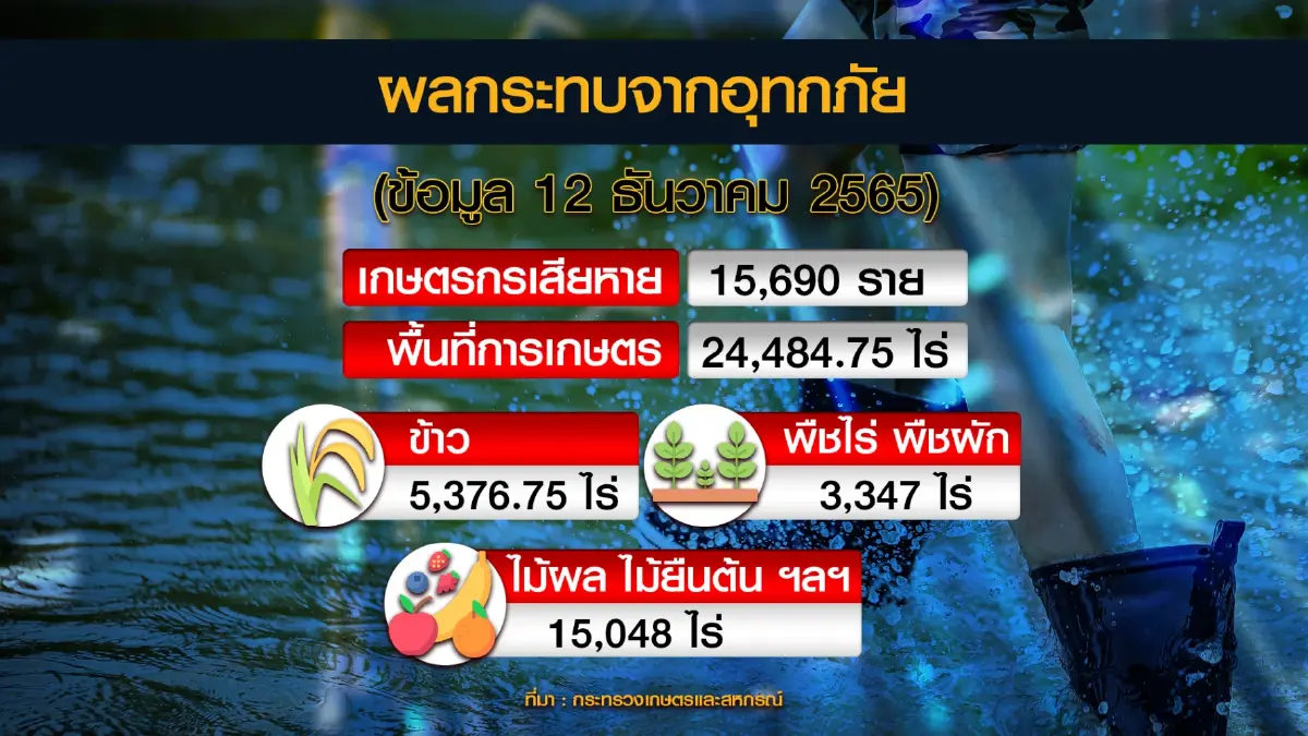 รัฐบาลเร่งช่วยเหลือเกษตรกรประสบภัยในภาคใต้