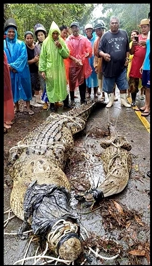 ชาวบ้านตะลึง! ไอ้เข้น้ำเค็มยักษ์โผล่ริมถนนท่าชนะ หลังฝนถล่มหนัก (มีคลิป)