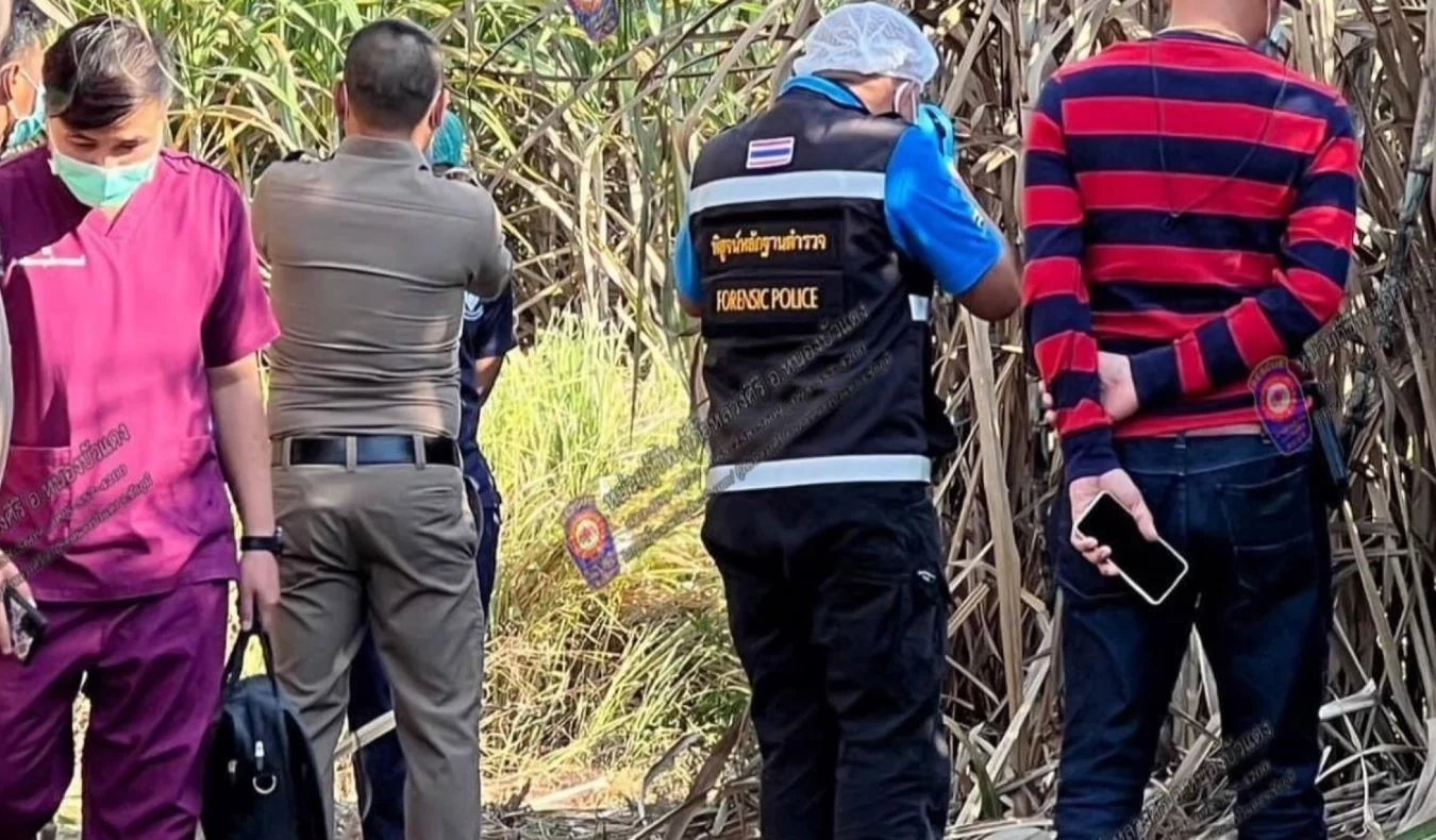 สยอง! สาวใหญ่ถูกฆ่าเปลือยยัดกระสอบ ทิ้งศพกลางไร่อ้อย