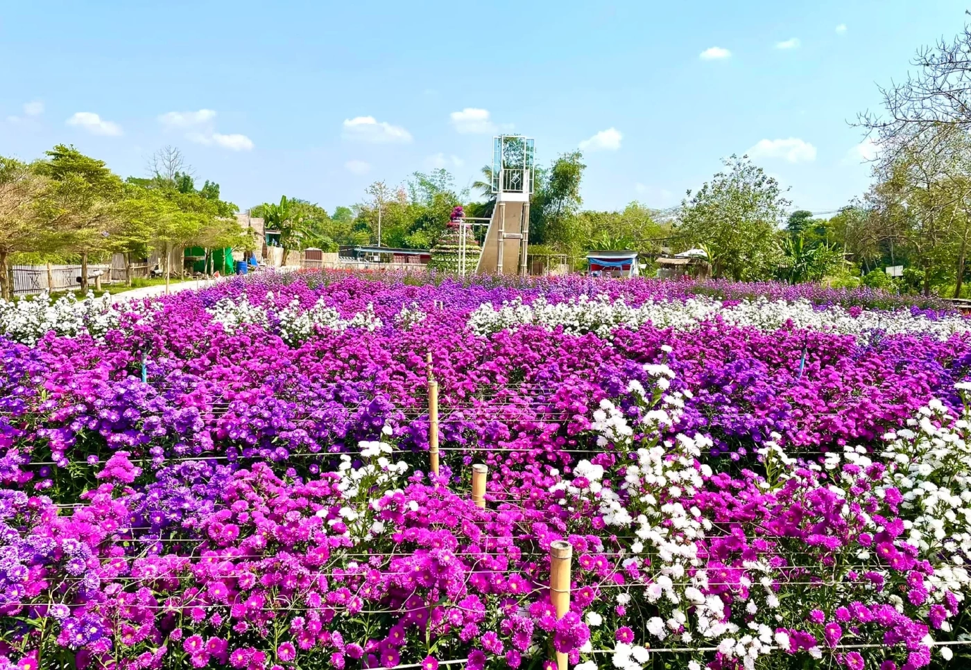 ไร่กลิ่นเกสร