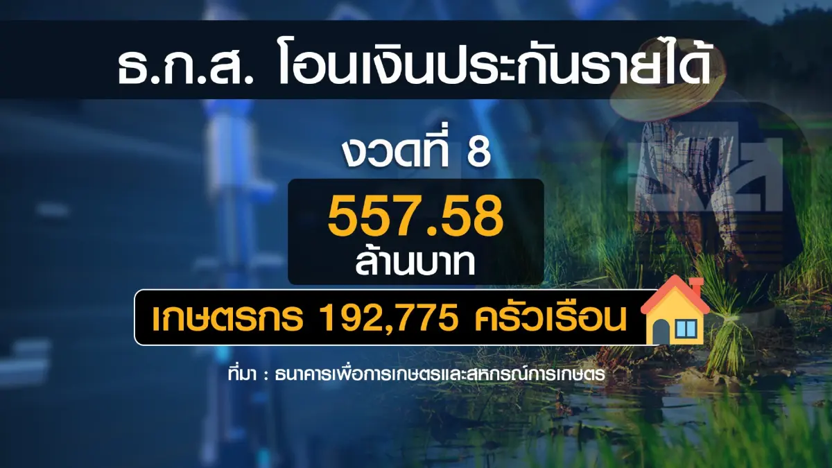 ธ.ก.ส. ดีเดย์โอนเงินประกันราคาข้าวงวด 8 กว่า 500 ล้าน