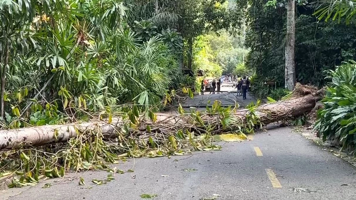 สลด! เสาไฟใน อช.น้ำตกพลิ้ว ล้มทับนักท่องเที่ยวเสียชีวิต