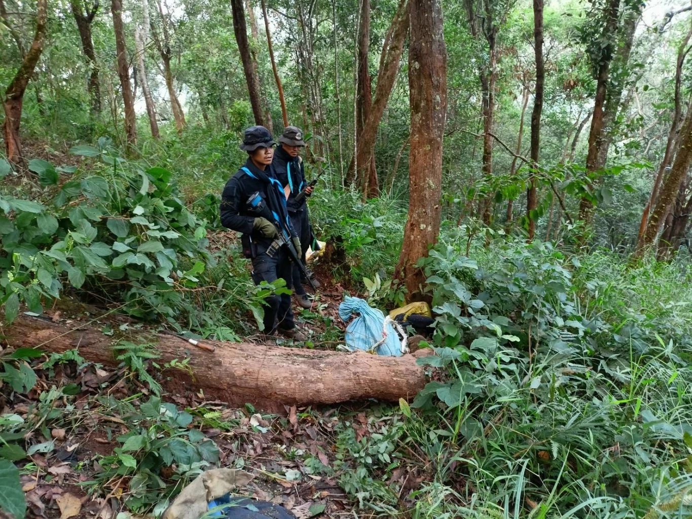 ด่วน!!! ทหารกองกำลังผาเมืองปะทะคาราวานยาเสพติดตาย 15 ศพ (มีคลิป)