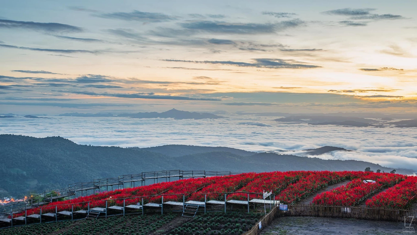 ยิ่งยงสวนดอกไม้