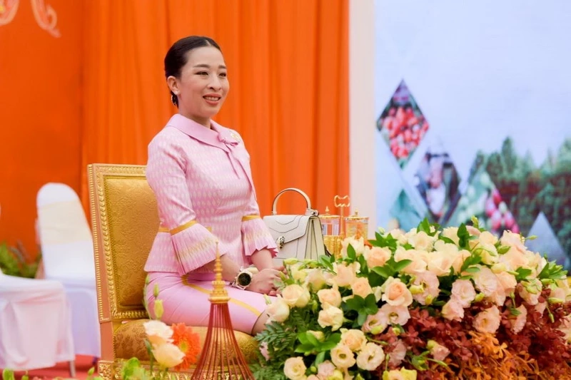 เหล่าเซเลบร่วมใจถวายพระพร "เจ้าฟ้าพัชรกิติยาภาฯ" ทรงหายประชวรในเร็ววัน