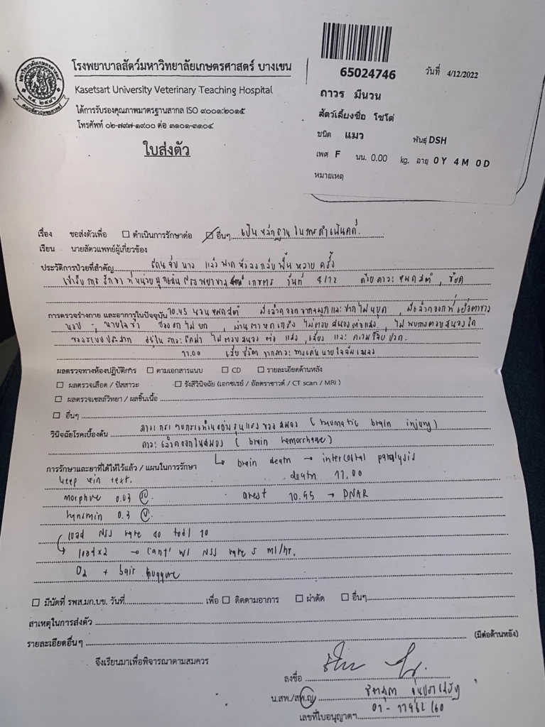 จิตใจทำด้วยอะไร ลุงสุดโหด จับแมวฟาดพื้นต่อหน้า เจ้าของลั่นเอาผิดถึงที่สุด