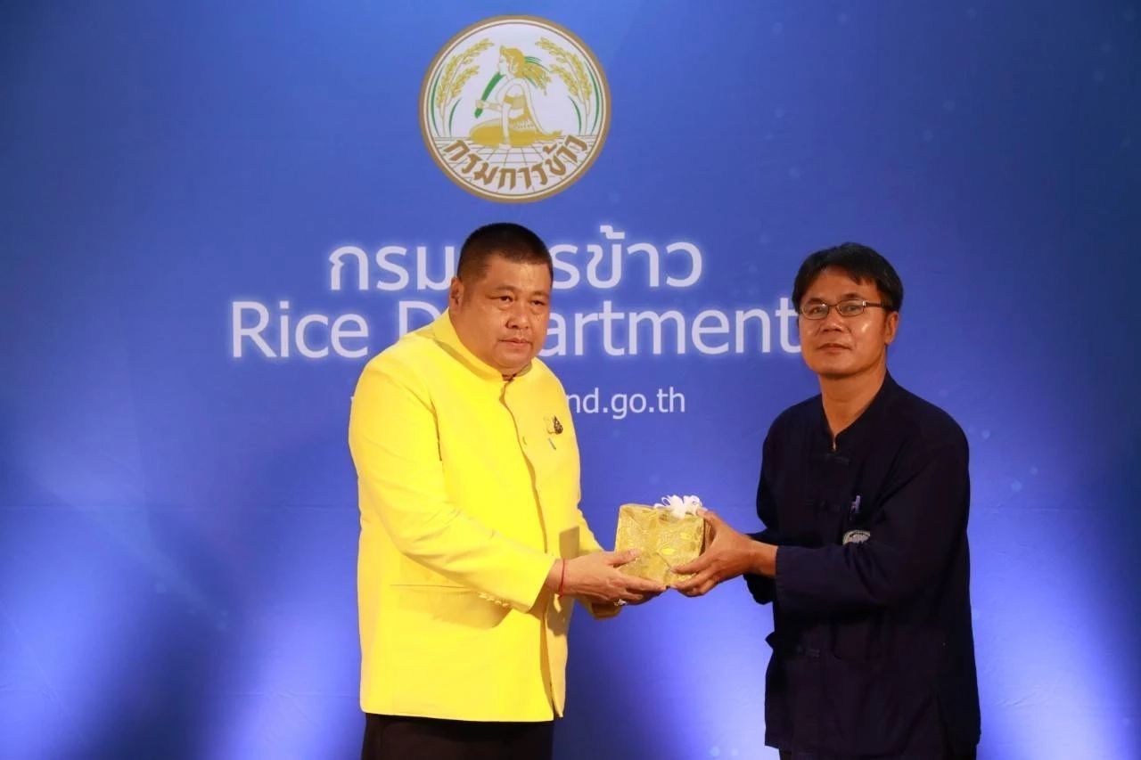 "กรมการข้าว" เร่ง ชาวนา เปลี่ยนใช้เมล็ดพันธุ์ข้าว คุณภาพดี แข่งตลาดโลก