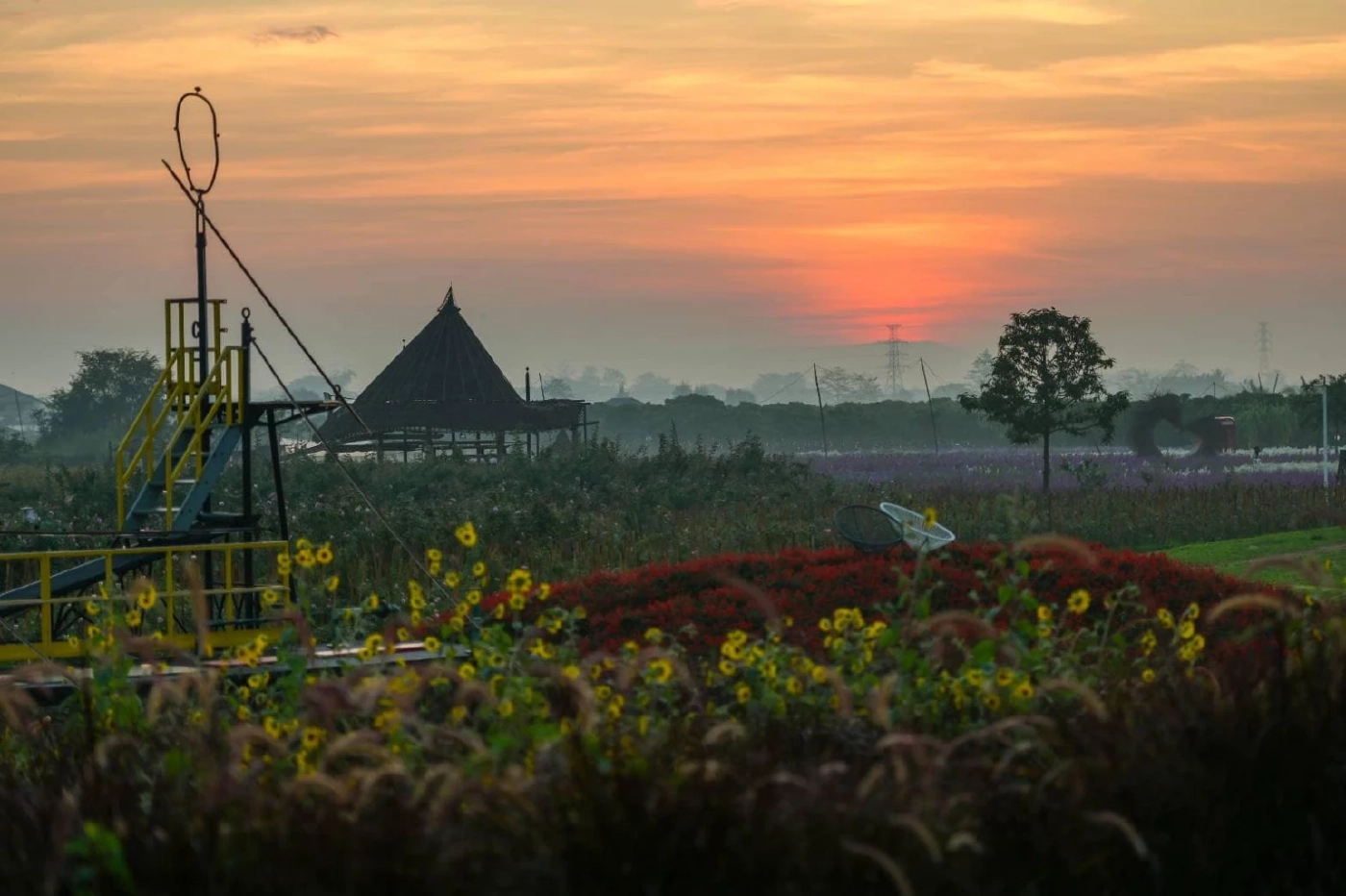 สวนดอกไม้ป้านกเอี้ยง