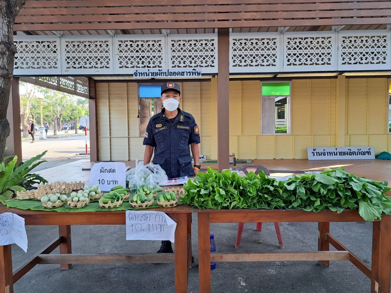 "เรือนจำกำแพงเพชร" ชวน อุดหนุนผักปลอดสาร เพื่อสวัสดิการผู้ต้องขัง