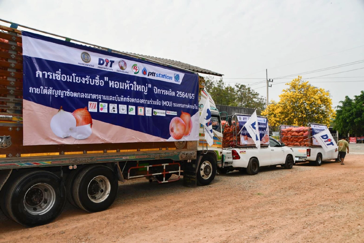 แก้ “พืชสามหัว” ล้นตลาด พาณิชย์ซื้อล่วงหน้า 2.28 หมื่นตันผ่าน“อมก๋อย โมเดล”