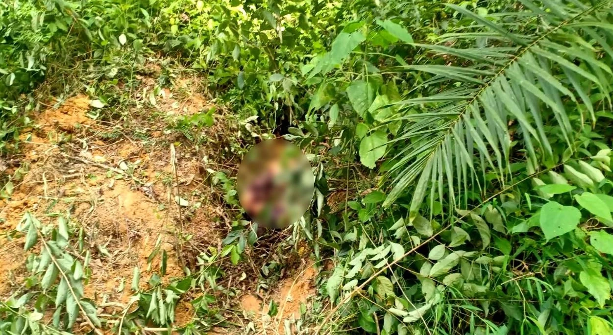 ร่างแหลก! "ช้างพลายโจโจ้" คาดตกมัน กระทืบควาญช้างหนุ่ม ดับสยอง