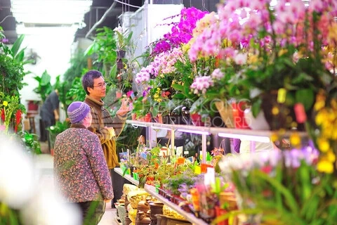 แชร์ลิสต์ 5 สถานที่ใน ‘ฮ่องกง’ เที่ยวได้-เฮงด้วย ต้อนรับเทศกาลตรุษจีน