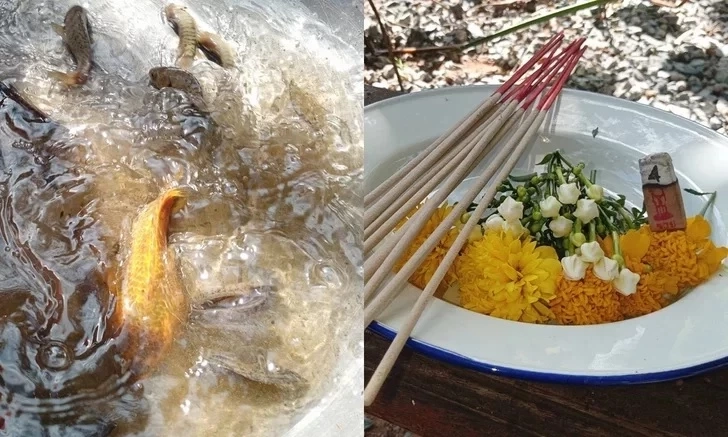 ที่มา : เลขเด็ดปลาหมอนาสีทอง 1 02 2566 