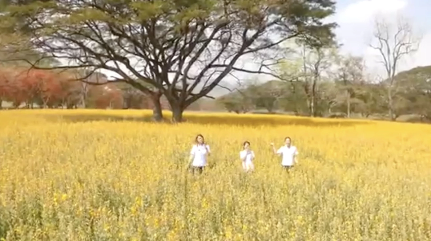 สายเที่ยวห้ามพลาด เตรียมกล้องถ่ายรูปกับทุ่งดอกปอเทือง อุโมงค์ประดู่แดง