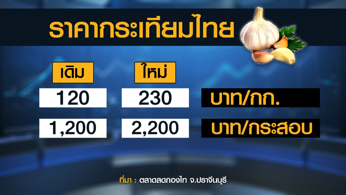 'กระเทียม' ราคาพุ่ง 230 บาท/กก.! ขานรับตรุษจีน