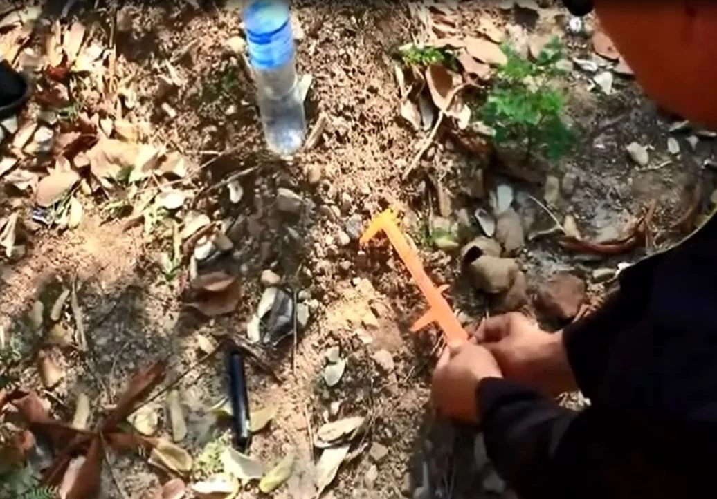 พบรอยเท้าเสือตัวดังกล่าว วัดได้เกือบ 20 เซนติเมตร