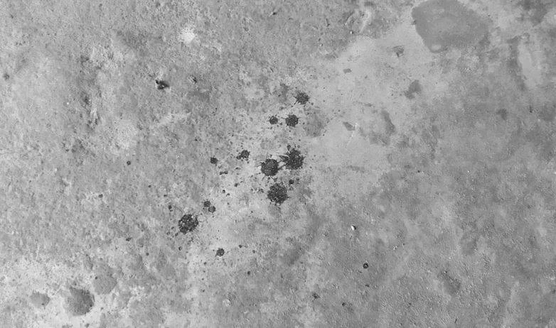 ลูกทรพี! ออกจากคุกได้ 4 เดือน คดีตียายแท้ๆดับ คราวนี้ตีหัวแม่เลือดอาบ