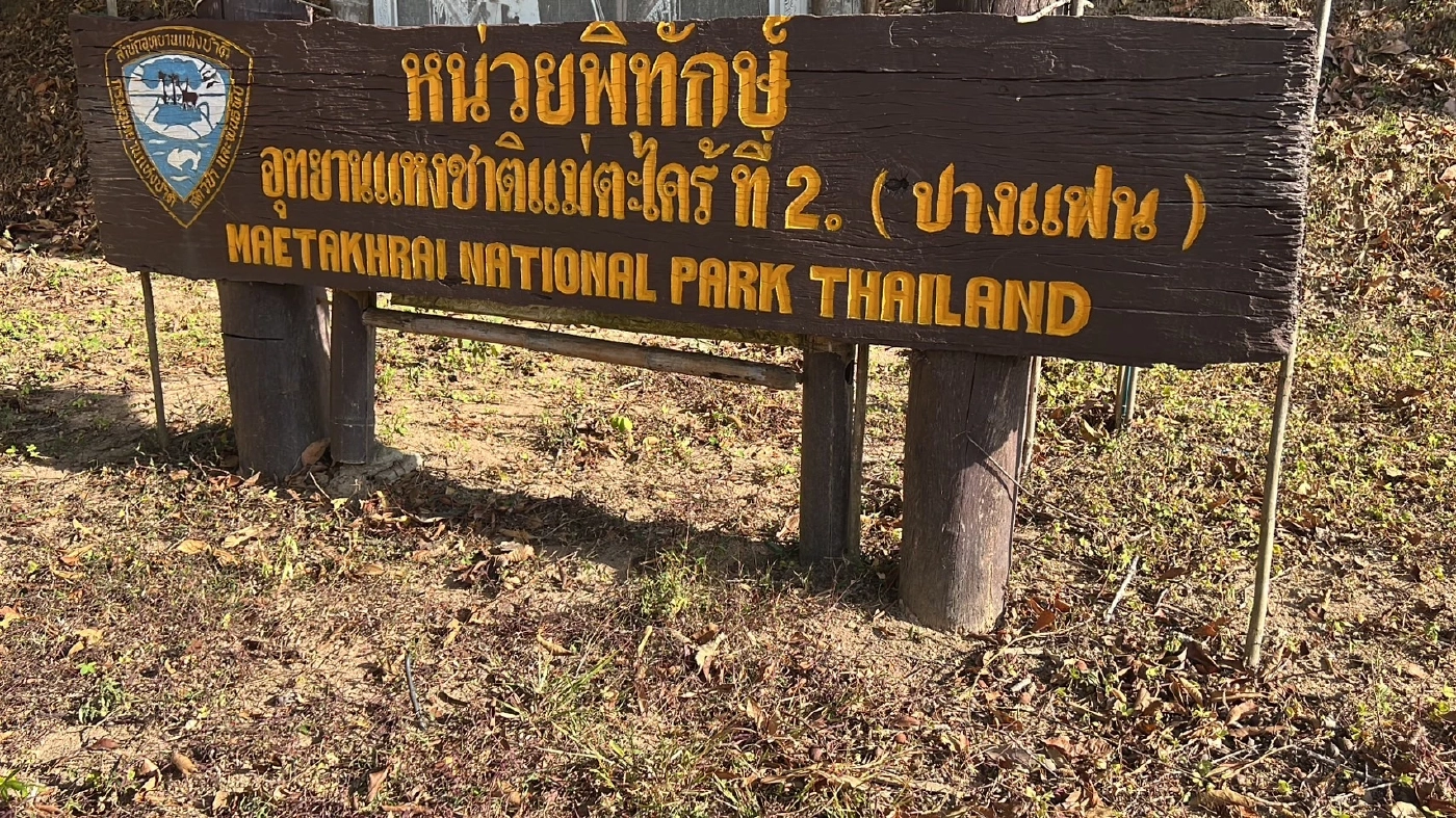 ฉาวอีก! หน.หน่วยพิทักษ์อุทยานฯ แฉขบวนการลักลอบต้นไม้ ส่งแปรรูปขาย