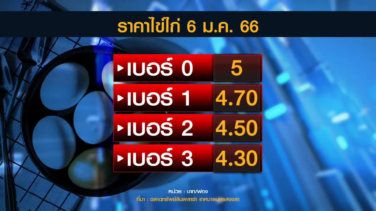 แม่ค้าบ่นอุบปรับราคาไข่ไก่วันแรกกำไร ถาดละ 5 บาท