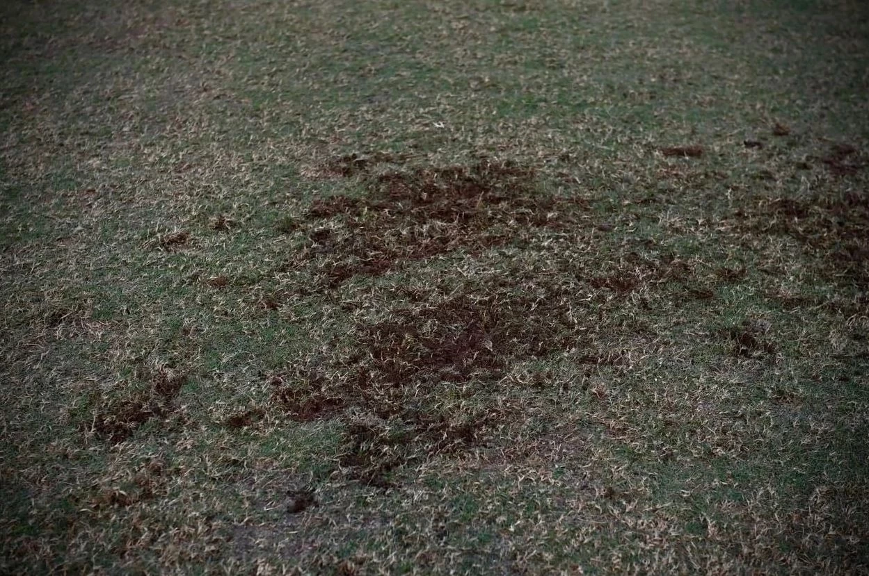 งามหน้า! สนามกีฬาแห่งชาติเวียดนามสะท้อนปัญหาคอร์รัปชัน